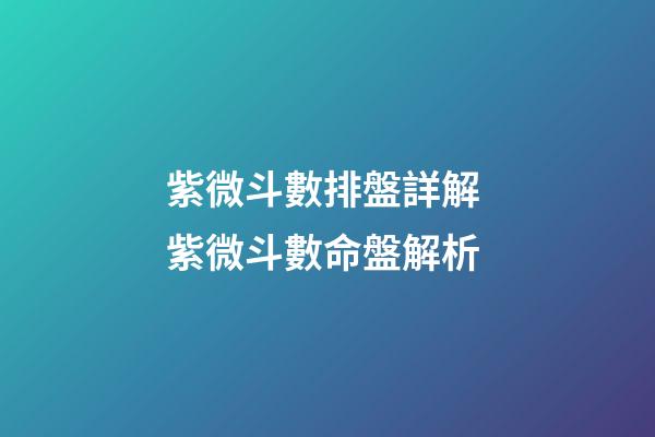 紫微斗數排盤詳解 紫微斗數命盤解析-第1張-觀點-玄機派